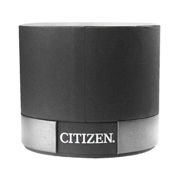 Citizen EM0993-82X Eco Drive Ladies