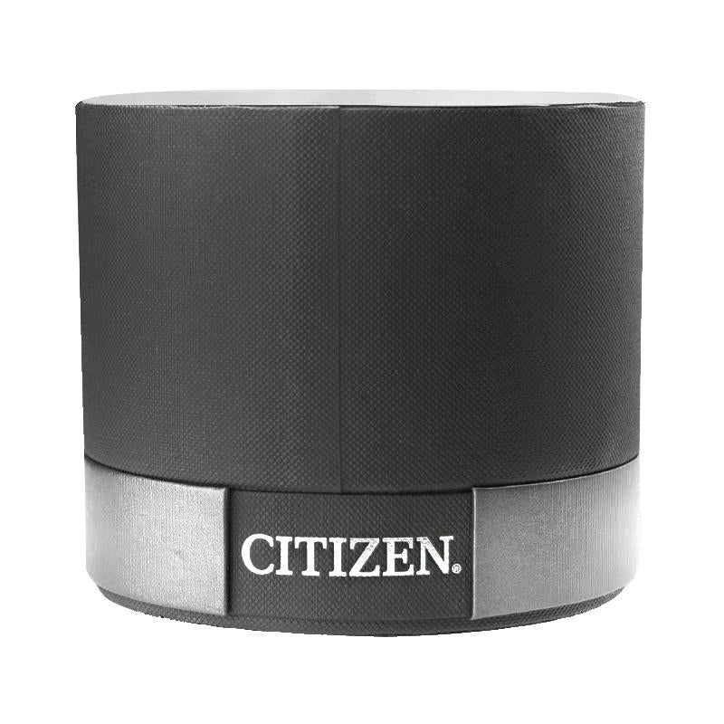 Citizen EM0993-82X Eco Drive Ladies